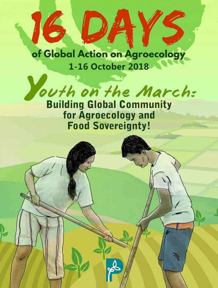 16 Days of Global Action highlights youth leadership and  solidarity for Agroecology, Food Sovereignty