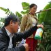 PANAP welcomes immediate ban on glyphosate imports in Vietnam, paraquat total ban in Malaysia in 2020