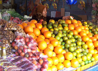 China’s rejection of Cameron GM fruits a wake-up call