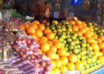 China’s rejection of Cameron GM fruits a wake-up call