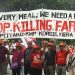 #StopKillingFarmers: PANAP supports UN rights experts’ call for independent probe on farmer killings & other violations in the Philippines