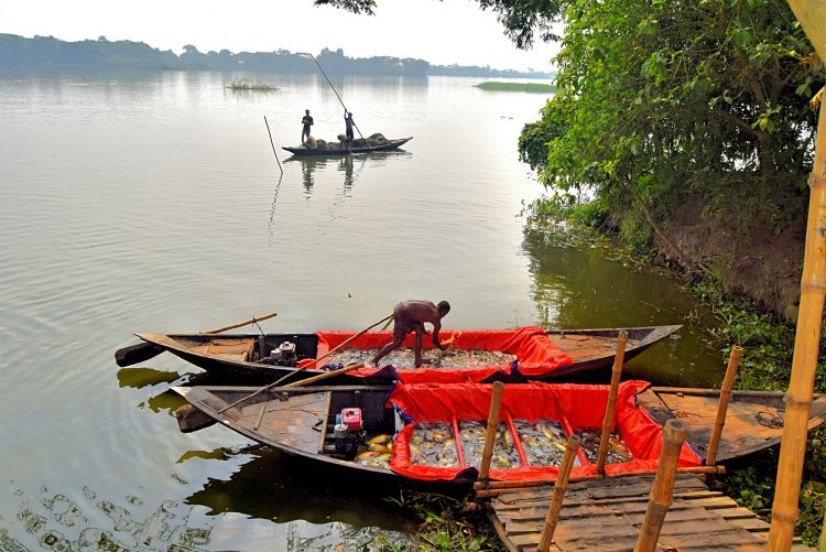 Food And Rights Talk: Building Resilience in Bangladesh