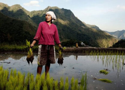 GMOs are not needed in the Asia-Pacific Region