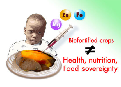 Biodiversity Not Biofortification Of Crops: The fight for genuine solutions to malnutrition is on