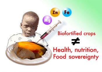 Biodiversity Not Biofortification Of Crops: The fight for genuine solutions to malnutrition is on