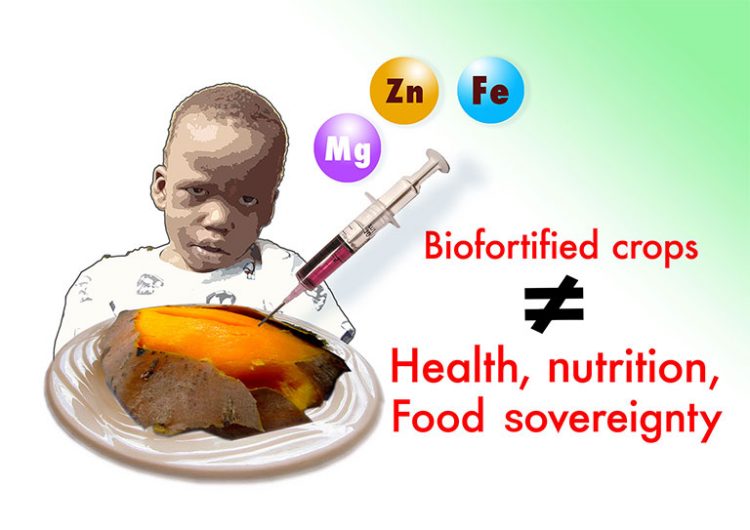 Biodiversity Not Biofortification Of Crops: The fight for genuine solutions to malnutrition is on