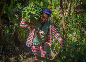 Amid COVID-19 lockdown and land conflict, a village wages struggle to live