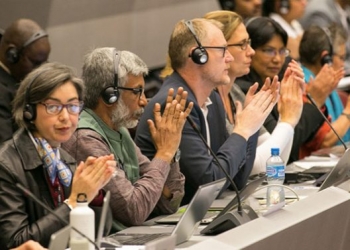 The gains and losses of the Triple COPs entail more work for civil societies and developing countries