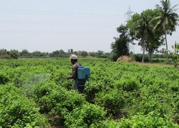 Triple COPs urged: Replace Pesticides with Agroecology for ‘Clean Planet, Healthy People’