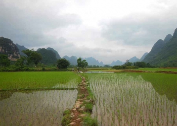 Food And Rights Talk: Back to Normal in Yunnan
