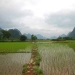 Food And Rights Talk: Back to Normal in Yunnan