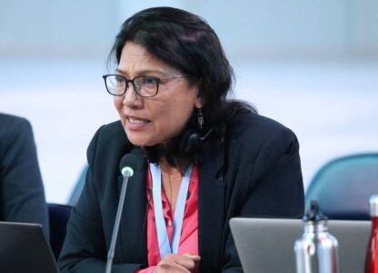 Pesticide Action Network’s Intervention at SAICM OEWG3: Put Forward a Legally Binding Protocol or Treaty