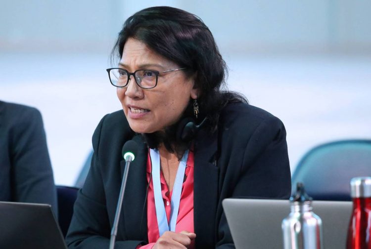 Pesticide Action Network’s Intervention at SAICM OEWG3: Put Forward a Legally Binding Protocol or Treaty