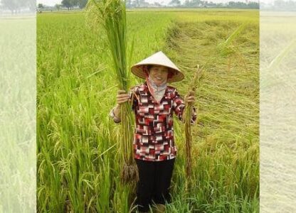 EU Commission’s approval of Dow-DuPont merger will not hinder move towards agroecology