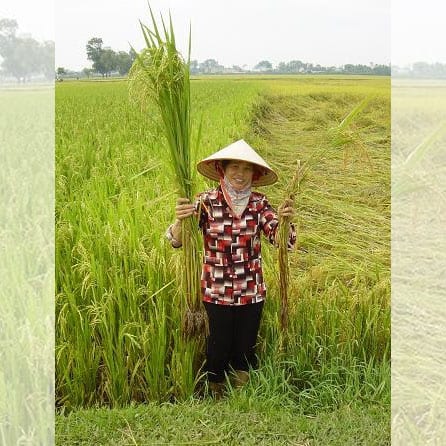 EU Commission’s approval of Dow-DuPont merger will not hinder move towards agroecology