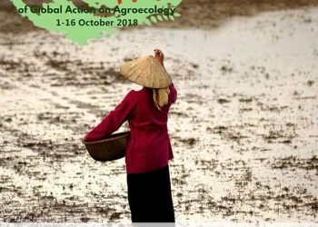 World Hunger Day: #ZeroHunger is possible with food sovereignty, agroecology and people’s right to development