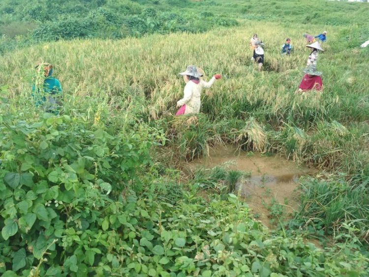 Food And Rights Talk: COVID-19 Worsens Injustice in Indonesia