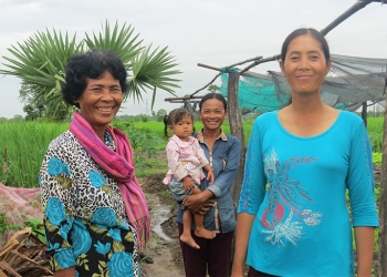 Replacing chemicals with agroecology increases Cambodian farmers’ income by four-folds