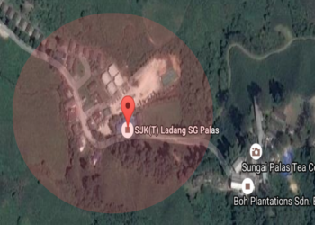 In Solidarity Against DAPL To Protect Water & Children