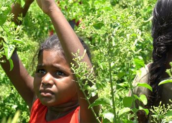 Healthy and safe environment, key to protecting children amid COVID-19