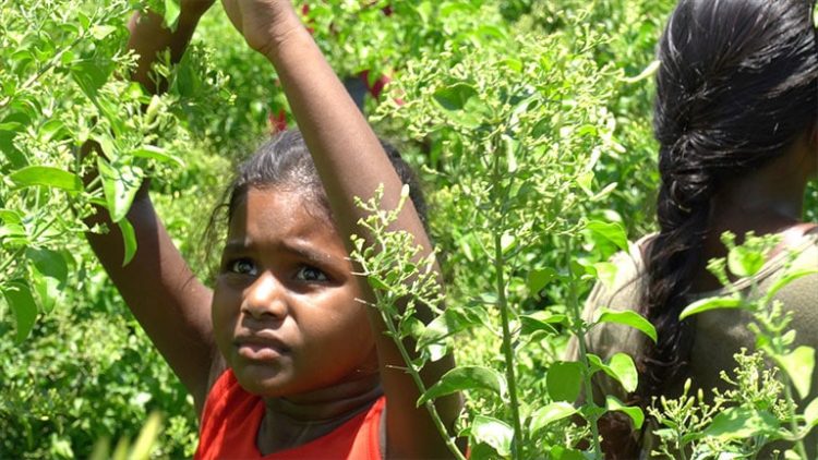 Healthy and safe environment, key to protecting children amid COVID-19