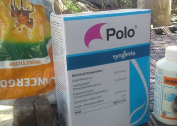 Failure in governance causes tragic deaths and poisonings of Bt cotton farmers in India