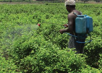 Open Letter to the Focal Points of Asia Pacific Regional on the Strategic Approach to International Chemicals Management, Bangkok 2018