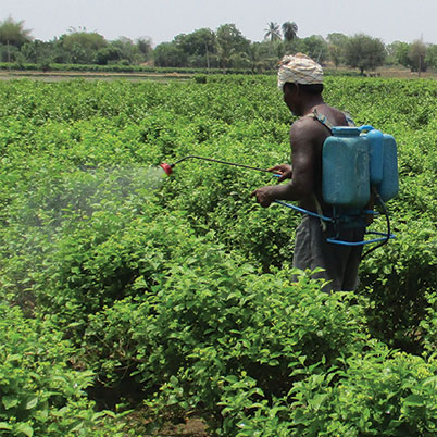 Open Letter to the Focal Points of Asia Pacific Regional on the Strategic Approach to International Chemicals Management, Bangkok 2018