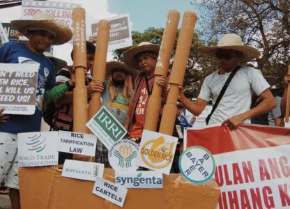 Global pandemics and food insecurity: The role of IRRI and WTO