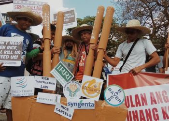 Global pandemics and food insecurity: The role of IRRI and WTO