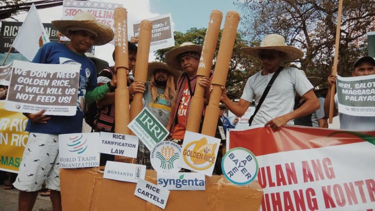 Global pandemics and food insecurity: The role of IRRI and WTO