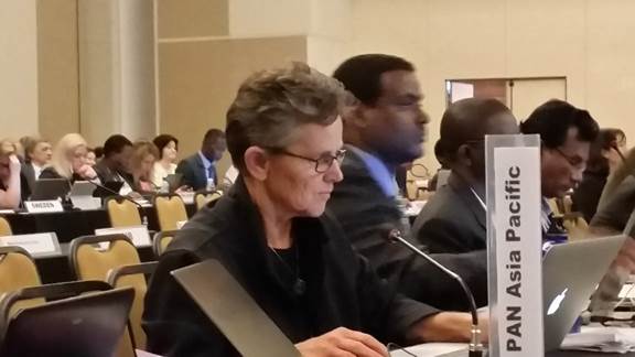 Global Management of Chemicals Beyond 2020