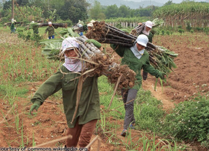 Labor Day 2019: Agricultural workers, among the most exploited and oppressed