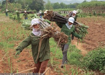 Labor Day 2019: Agricultural workers, among the most exploited and oppressed