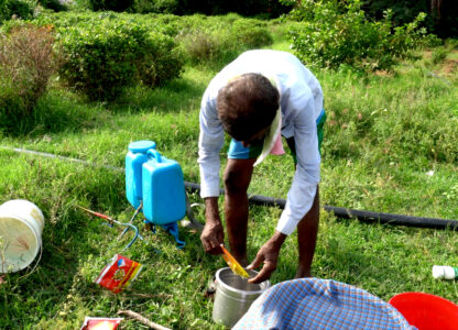 Indian government urged to push through with total ban of 27 pesticides
