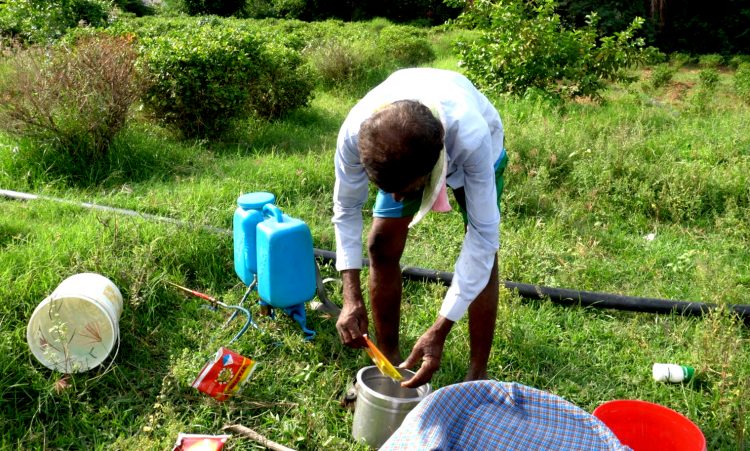 Indian government urged to push through with total ban of 27 pesticides