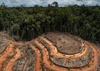 Of pandemics and profits: How industrial agriculture is exposing humanity to killer outbreaks