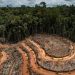 Of pandemics and profits: How industrial agriculture is exposing humanity to killer outbreaks