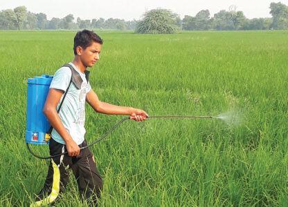 34 years after the Bhopal disaster: we still need a highly hazardous pesticide ban