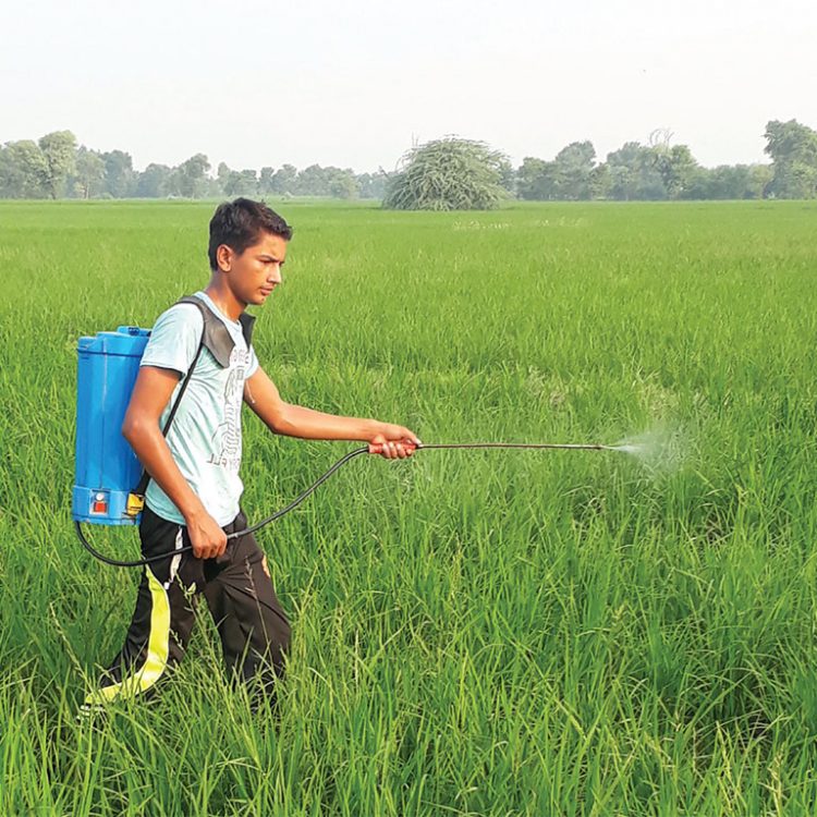 34 years after the Bhopal disaster: we still need a highly hazardous pesticide ban