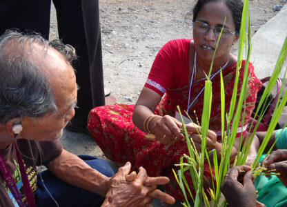PAN Asia Pacific Solidarity Message to MASIPAG’s 10th General Assembly