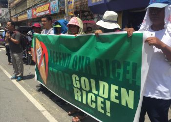 Agroecology, not Golden Rice, is the solution to malnutrition