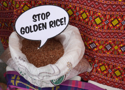 Asian Network mounts week-long protest vs Golden Rice