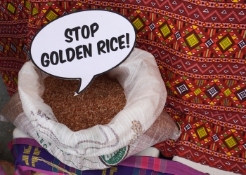 Asian Network mounts week-long protest vs Golden Rice