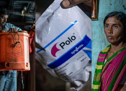 Yavatmal poisonings: Syngenta’s pesticide far more heavily involved