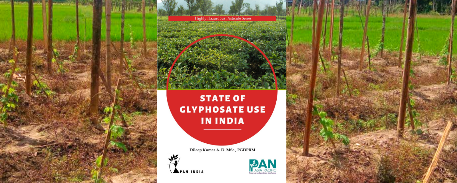 Illegal glyphosate usage rampant in India, new PAN study shows