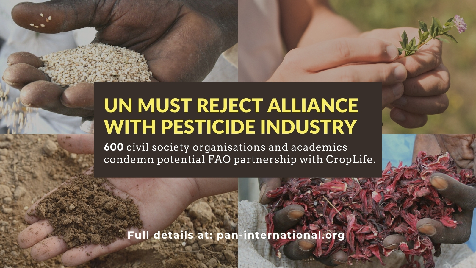 Global Outrage at FAO Plans to Partner with Pesticide Industry