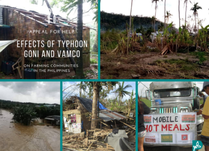 Appeal for assistance to Filipino farmers hit by Typhoons Goni and Vamco