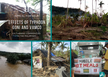 Appeal for assistance to Filipino farmers hit by Typhoons Goni and Vamco