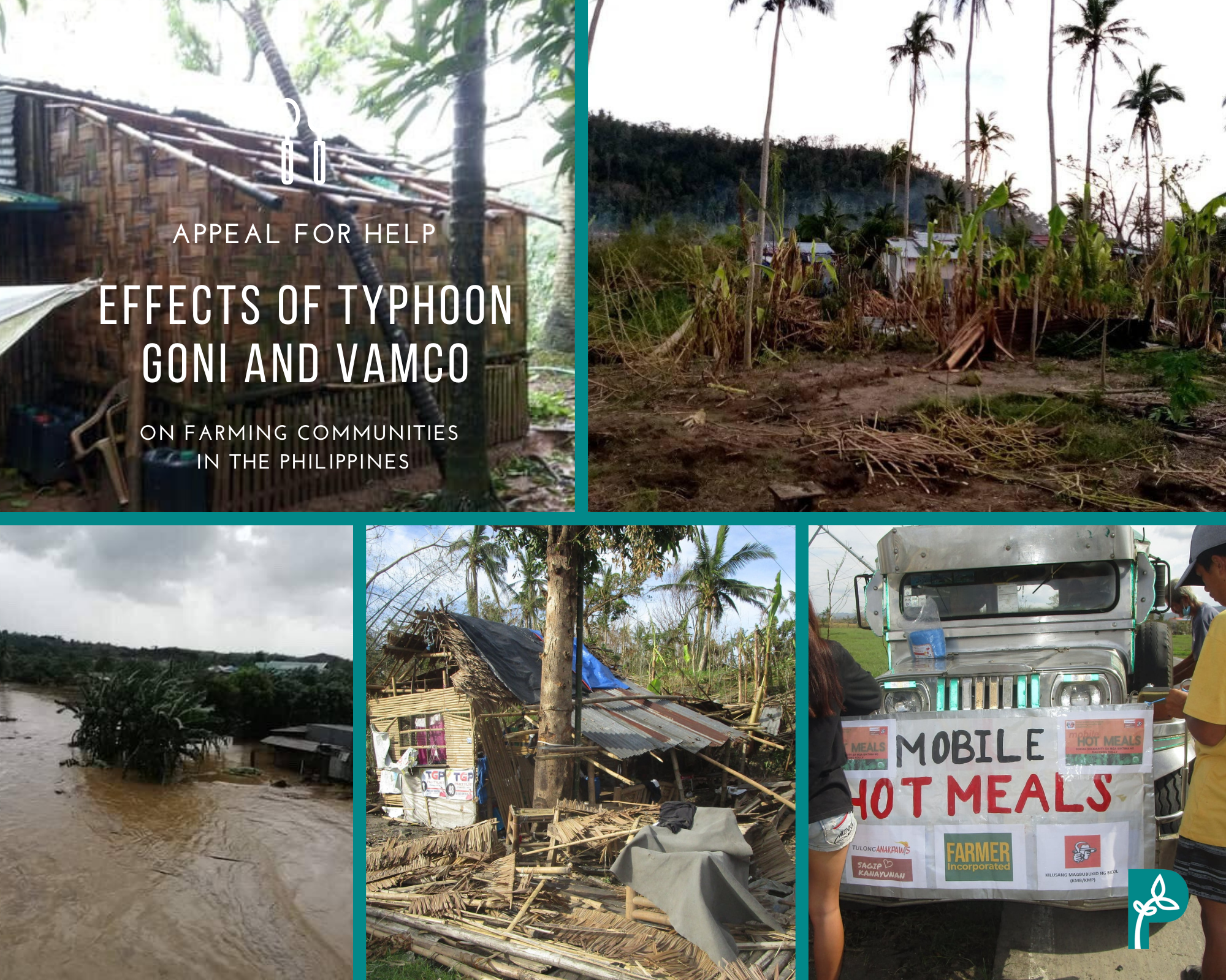 Appeal for assistance to Filipino farmers hit by Typhoons Goni and Vamco